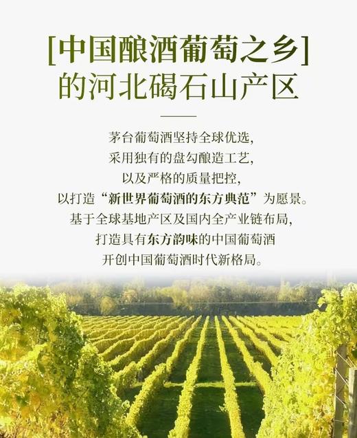 2025年茅台茶干白葡萄酒，酒精度12.5度，整箱750ml*6瓶，优势现货。怕查 商品图8
