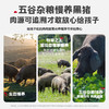 【惊喜5折券可用】忆小口儿童谷饲慢养黑猪肉肉肠210g（7支） 商品缩略图4