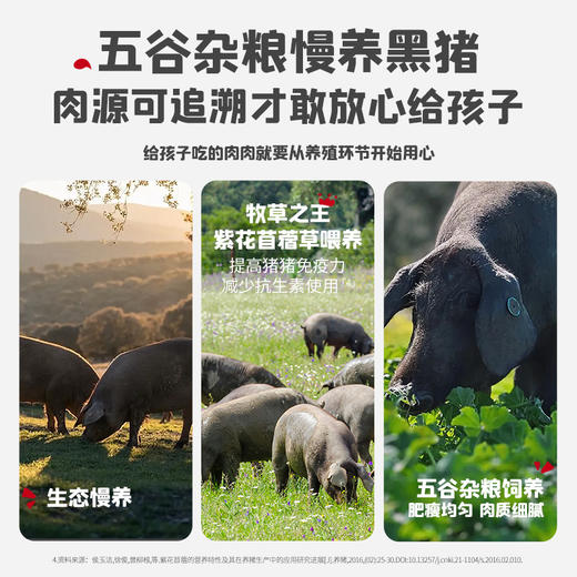 【惊喜5折券可用】忆小口儿童谷饲慢养黑猪肉肉肠210g（7支） 商品图4