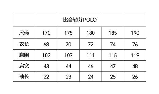原单正品比音勒芬珠地网眼刺绣小人polo短袖，四个色170-190 商品图8
