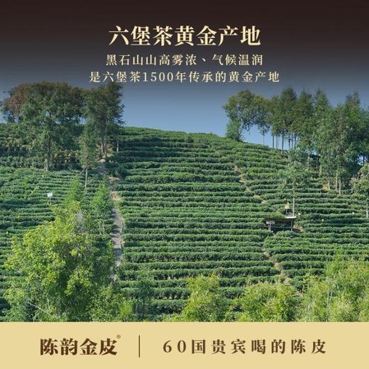 陈韵金皮&濡菲丨金丝老六堡 100g（大师监制 2013年一级六堡茶+2019年天马陈皮丝 商品图1