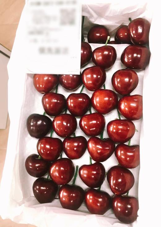 「樱桃来噜～」大连美早樱桃 2J3J4J5J6J 陆续更新品种中 商品图3