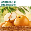 【内享汇】英氏婴幼儿秋月梨膏（山竹刺梨味）120G（10袋/盒） 商品缩略图1