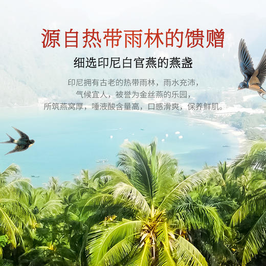 988型鲜炖燕窝礼盒 商品图4