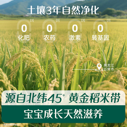 【内享汇】英氏有机五常大米米粉248g（维C加铁原味/维D加铁草莓苹果味/番茄牛肉加锌味） 商品图1