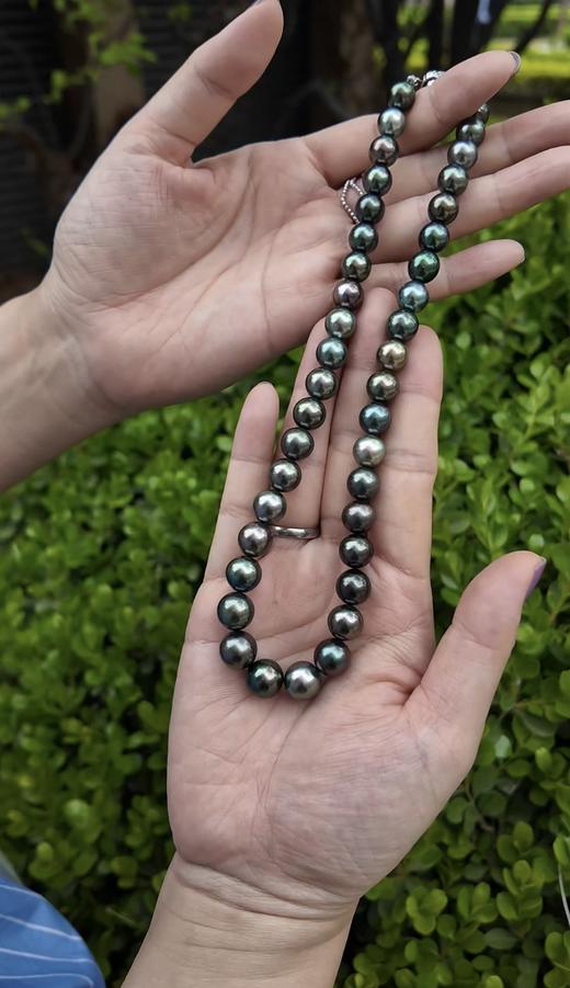 【日本溯源之旅】真科研大证南漂串珠9.0-11.4mm（展会产品拍下后不支持7天无理由退换货） 商品图3