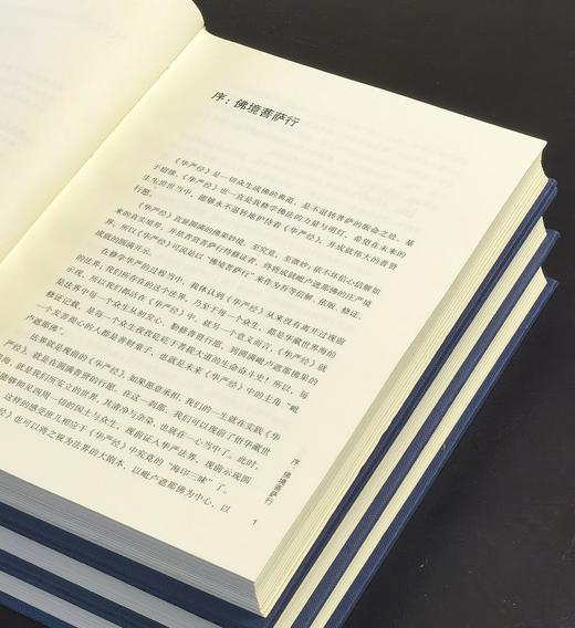 【特惠，全网zui低】《白话华严经》，精装，16开，全6册一箱装，洪启嵩译注，上海三联书店2014年一版一印，2608面，定价780，售价：288元。 商品图4
