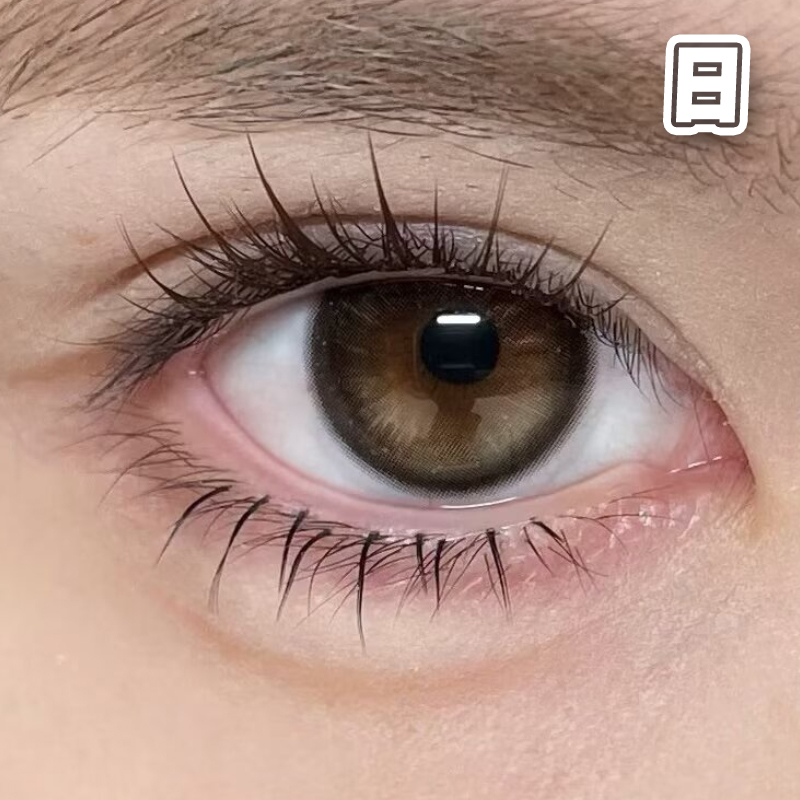 #镜面黑咖 黑棕 14.2mm 8.5基弧【10片装】国产精品 / 日抛