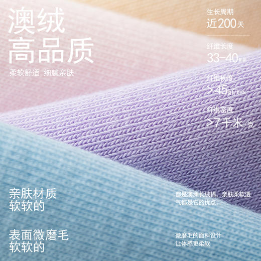 花栖处春夏纯棉短筒袜HC031【女款】 商品图4