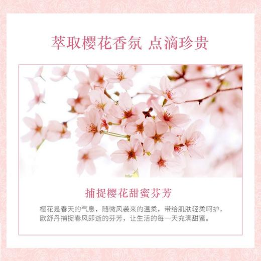 Loccitane 欧舒丹 樱花沐浴露 250ml 旧版【2026.9】 商品图2
