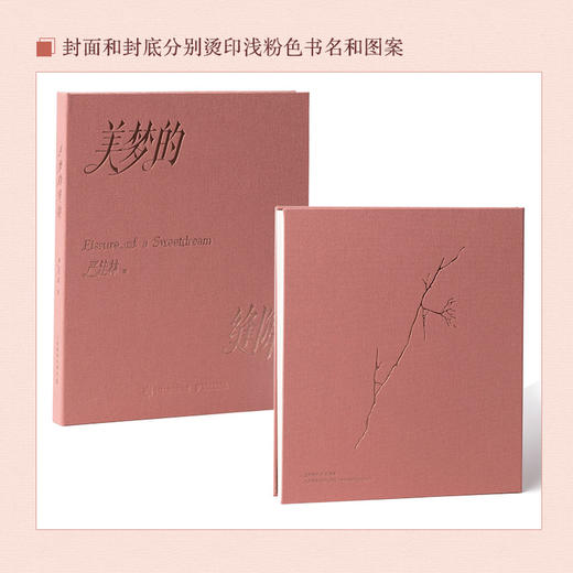 美梦的缝隙 摄影师严佳林作品集摄影集画册个人摄影图集光影构图影像海南万宁纪实影像叙事生活观察手记 商品图2
