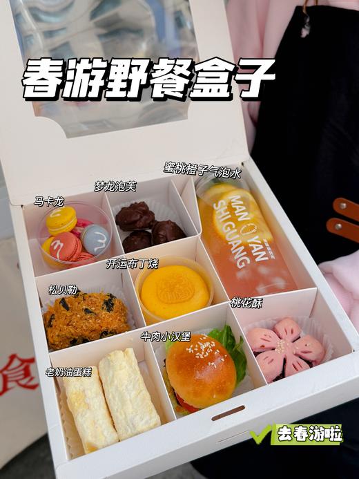 春游野餐盒子（适合3-4人） 商品图0