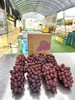 夏黑葡萄 商品缩略图2