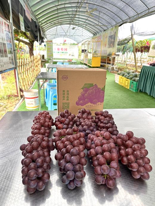 夏黑葡萄 商品图2