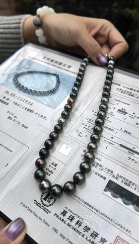 【日本溯源之旅】真科研大证南漂串珠9.0-11.4mm（展会产品拍下后不支持7天无理由退换货）