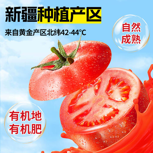 笑厨·有机番茄汁210ml（复合果蔬汁） 多规格可选 商品图4