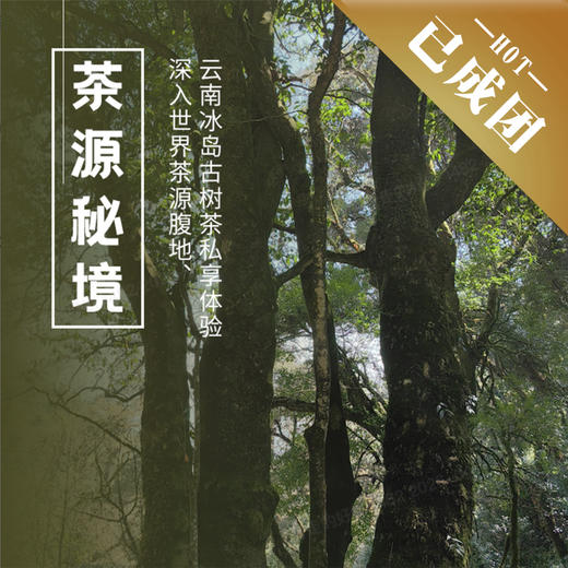 4.24-28 | 茶源秘境 冰岛五寨 | 深入“世界茶源”中心腹地、云南古树茶私享体验！ 商品图0