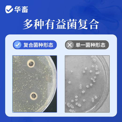 华畜水产em菌 可自行验证的好菌  菌群丰富活力强 商品图1