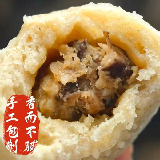 【下单后48小时发货】河南 黑猪肉香菇老面小笼包子340g*3包（10个/包） 商品图1