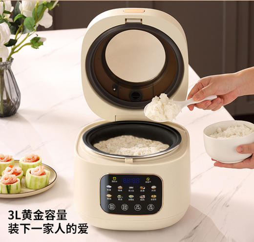 创维电饭煲 商品图2