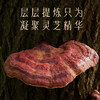 ⁵近效清【参灵饮】原199元 林下仿野生种植2年赤灵芝+长白山人参+益生元+蜂蜜 10瓶一盒 YY05-TBT 商品缩略图1