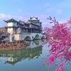 漫游舟山丨登普陀山海天揽胜，金沙碧浪相伴，东海之巅的群岛浪漫！ 商品缩略图4