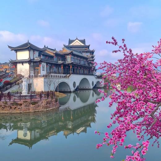 漫游舟山丨登普陀山海天揽胜，金沙碧浪相伴，东海之巅的群岛浪漫！ 商品图4