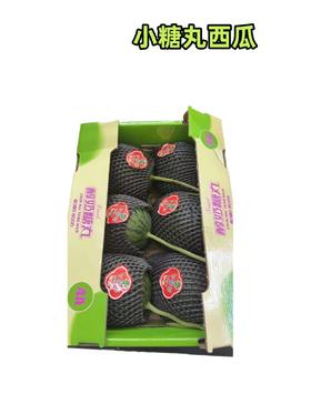 小糖丸西瓜