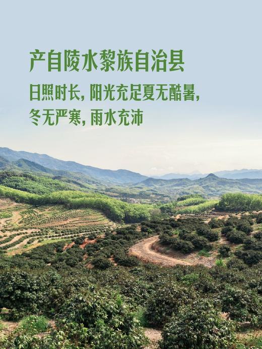 MM 山姆 桂花香荔枝 907g 商品图6