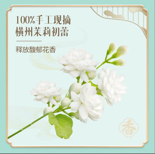 康师傅茉莉清茶/蜜茶500ML 商品图1