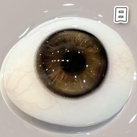 #镜面黑咖 黑棕 14.2mm 8.5基弧【10片装】国产精品 / 日抛 商品图1