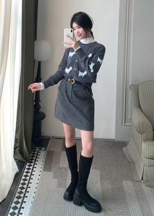 【门店同款】ENJOY冬季高级感毛呢半裙 167297213 商品图3