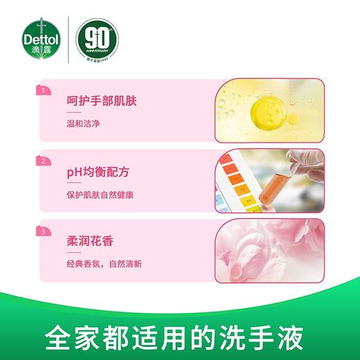 滴露 滋润倍护抑菌洗手液 450g*2瓶/包 商品图3