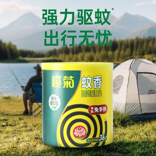 榄菊 加大盘强力型免拆蚊香筒（纸筒） 36单圈/桶 商品图3
