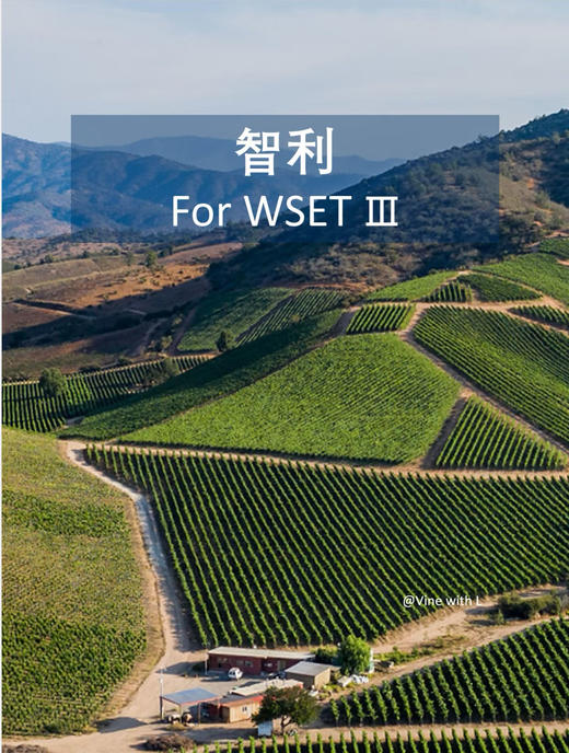 998型宝珞集团麦金莱庄园303干型红葡萄酒 6瓶 750ml 商品图1