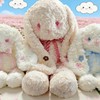 ZY大号白色艾妮兔毛绒公仔-纪念日百货门店同款170443365 商品缩略图1