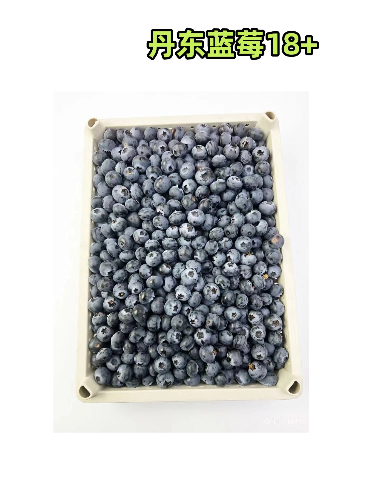 丹东蓝莓18+ 散装