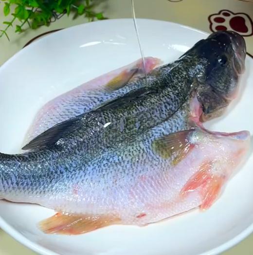 【QT】鲜活现杀 河鲈鱼 商品图1