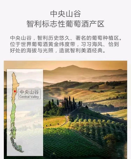 998型宝珞集团麦金莱庄园303干型红葡萄酒 6瓶 750ml 商品图2