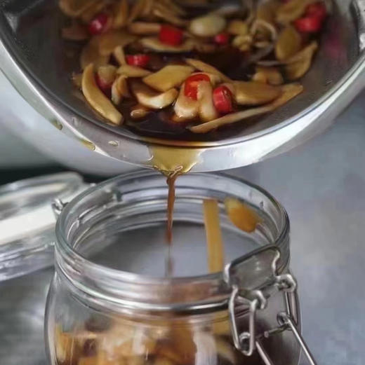 玉指香姜 北海嫩姜 头茬 商品图4