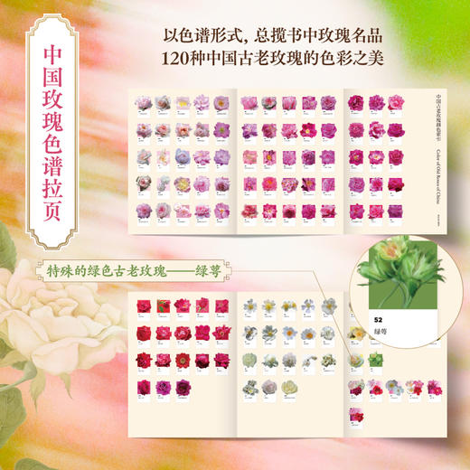 中信出版 | 寒地玫瑰定制版 玫瑰传奇：中国古老玫瑰图谱解读 商品图2