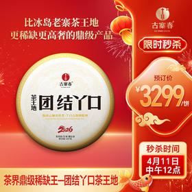 【团结丫口茶王地】2026年春茶预售茶界鼎级稀缺王比冰岛老寨茶王地更稀缺更高奢的鼎级产品，357克/饼