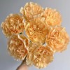 单头康乃馨 | 柠檬柑橘 商品缩略图0