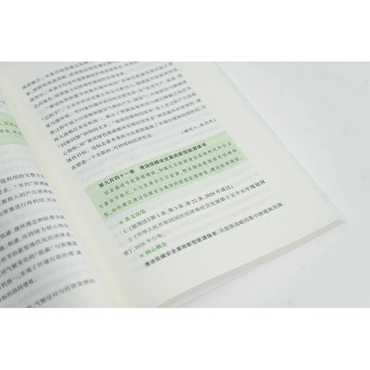 中华人民共和国生态环境法典释评·绿色低碳发展编 吕忠梅 汪劲主编 法律出版社 商品图2