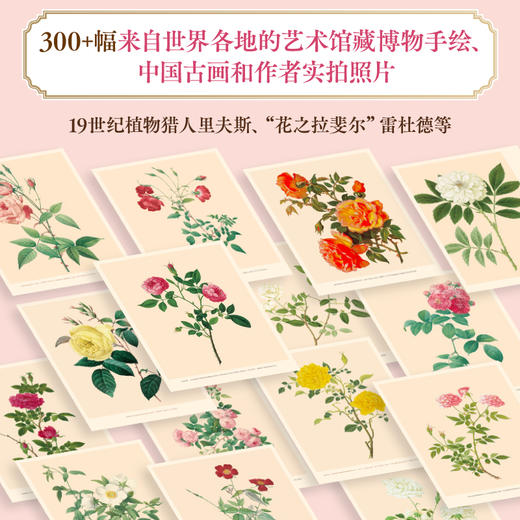中信出版 | 寒地玫瑰定制版 玫瑰传奇：中国古老玫瑰图谱解读 商品图5