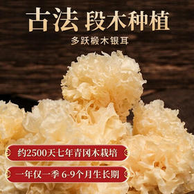 多跃椴木银耳90g精选白木耳无硫雪耳孕妇儿童软糯银耳羹特产煲汤食材 /粮油调味 /南北干货 /菌菇干货