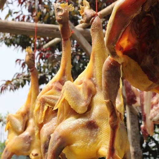 湖南特产风干鸡正宗新鲜腊鸡农家土鸡腊鸡农家整只 商品图0