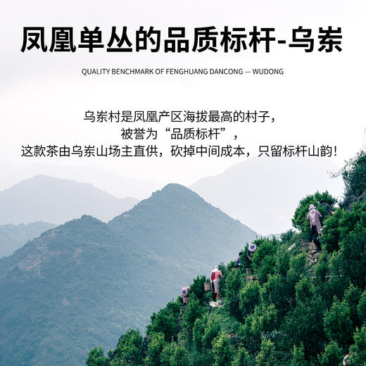 【魔造】乌岽鸭屎香42g 商品图1