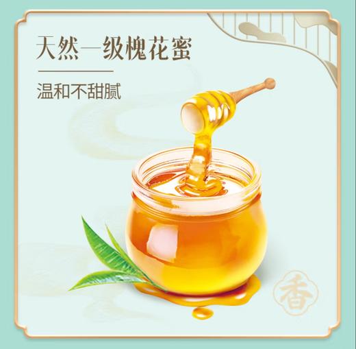 康师傅茉莉清茶/蜜茶500ML 商品图2