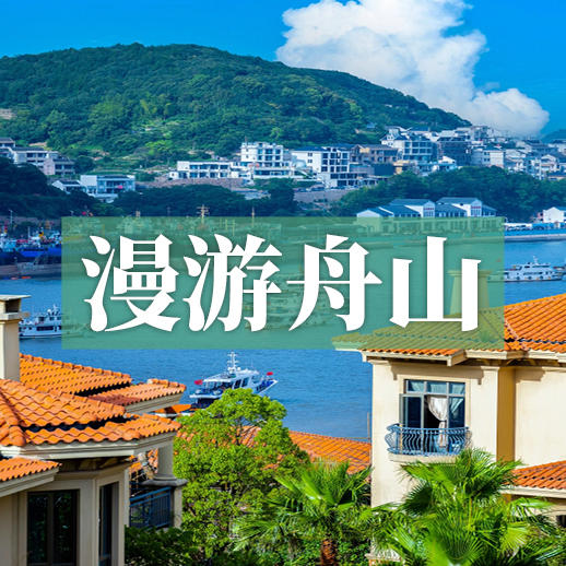 漫游舟山丨登普陀山海天揽胜，金沙碧浪相伴，东海之巅的群岛浪漫！ 商品图0